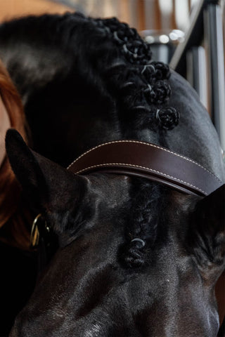 Anatomisch Lederen Halster Nekstuk Bruin