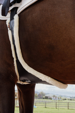 Anatomic Stud Girth Sheepskin Brown