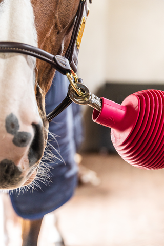 Boll Aanbindbescherming Pro Roze