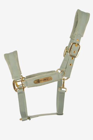 Halster Velvet Mint