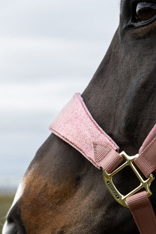 Halfter Samt Einhorn Glitter Rosa