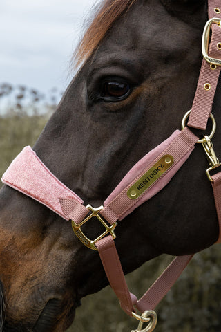 Halfter Samt Einhorn Glitter Rosa