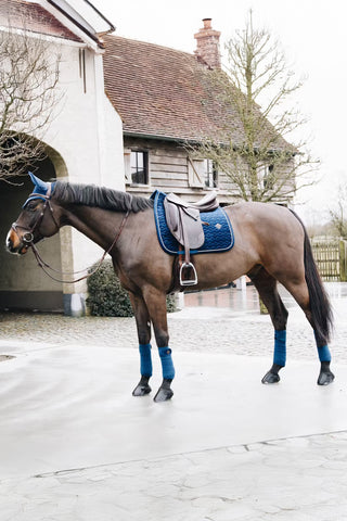 Saddle Pad Basic Velvet Navy