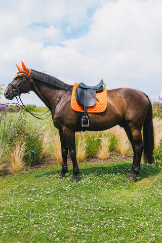 Schabracke Diamond Rope Orange