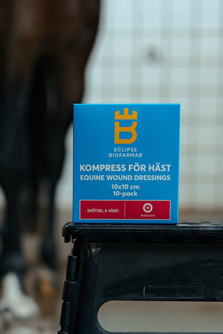 Kompress til hest 10x10cm