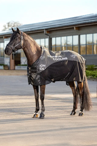 LeMieux Carbon Cooler Rug Schwarz
