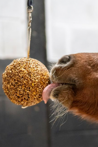 Granola Bal Pepermunt