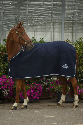 Wolldecke Navy mit Gurt + Logo