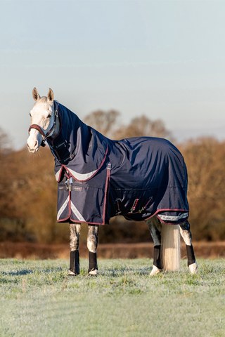 Regendecke Kudos 100g Navy