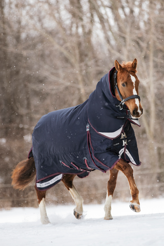 Winterdecke Kudos 350g Navy