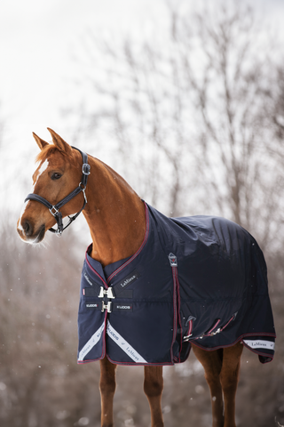 Winterdecke Kudos 350g Navy