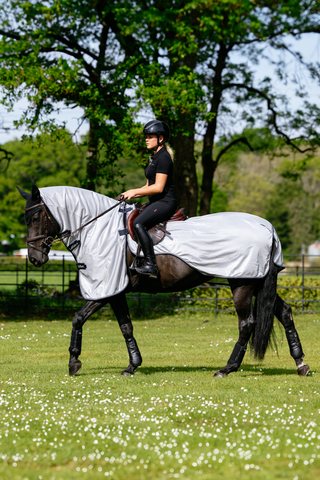 Couverture anti-mouches Ride On Gris