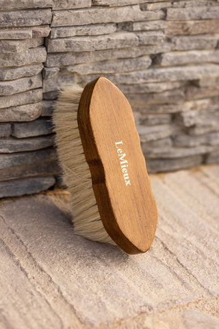 Artisan Deep Clean Kardätsche