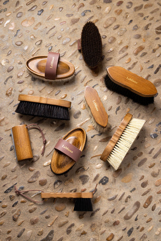 Artisan Deep Clean Kardätsche