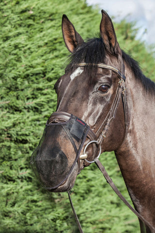 Comfortshield Neusbeschermer 2-pack