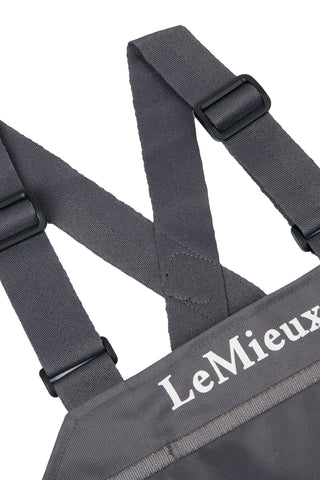 Vielseitigkeits-Startnummernplatte