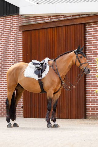 Tapis de selle de saut en suédine Crystal