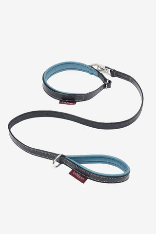 Collier + Laisse pour Chien Jouet