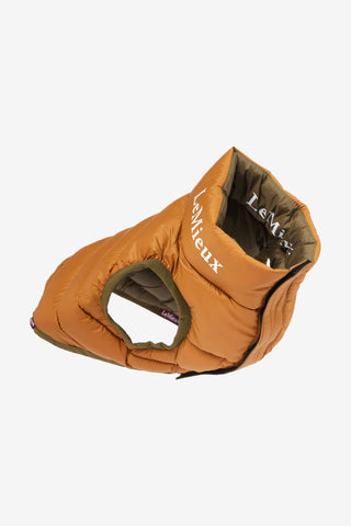 Veste pour Chien Jouet