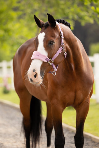 Halters + Lead Rope Vogue Mallow