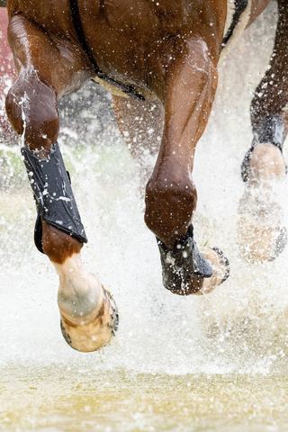 XC beenbescherming MIMSafe
