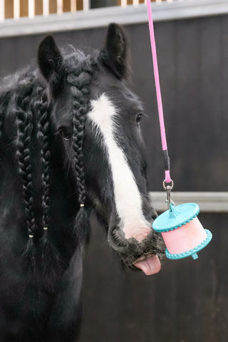 Hindbær Refill 650g