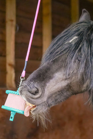 Hindbær Refill 650g