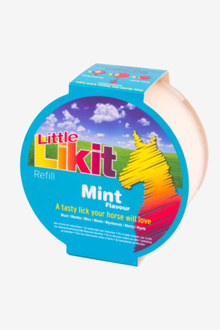 Mint Refill 250g
