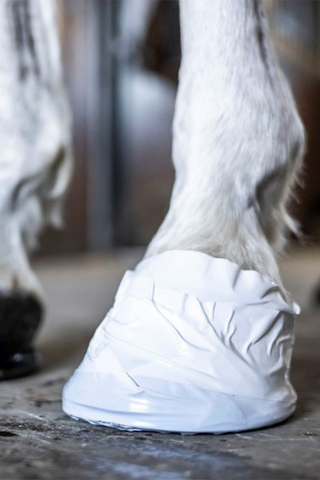 Huf- und Veterinärband