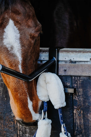 Portabel Sadelhängare Svart