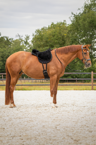 Bareback Pad SuperSoft Black/Black