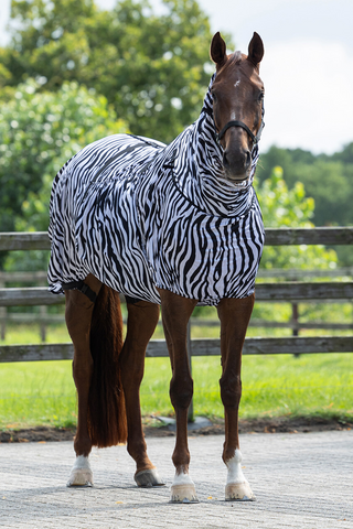 Couverture anti-eczéma Zèbre