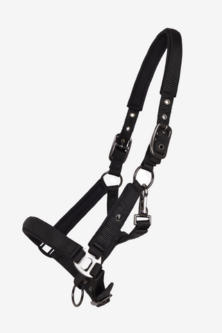 Fohlenhalfter Deluxe Schwarz