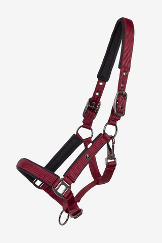 Fohlenhalfter Deluxe Burgundy