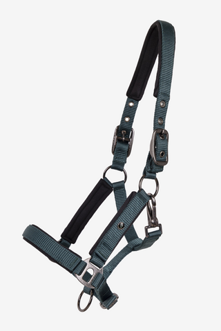 Fohlenhalfter Deluxe Dunkelgrün