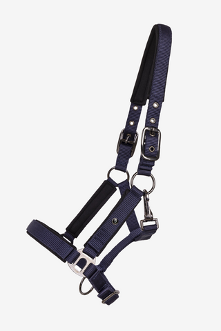 Fohlenhalfter Deluxe Navy