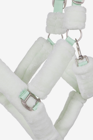 Halfter Alaska Mintgrün