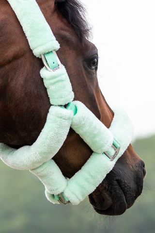 Halfter Alaska Mintgrün