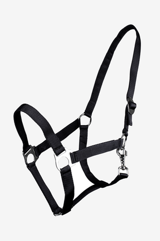 Licol Slide Noir
