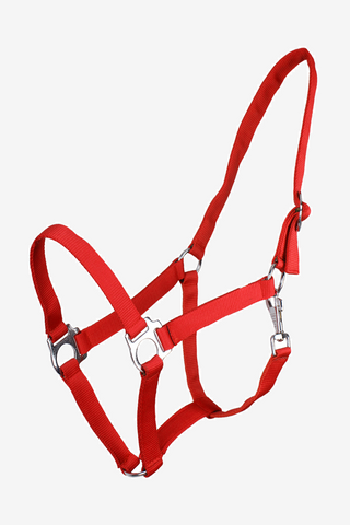 Licol Slide Bright Red