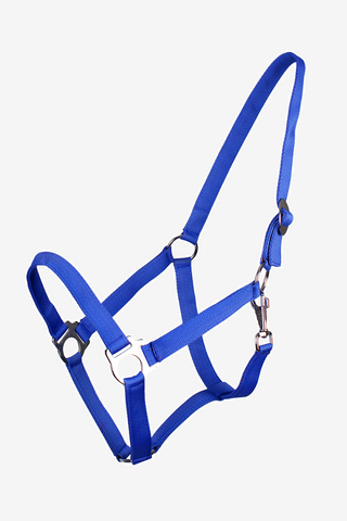 Licol Slide Cobalt Blue