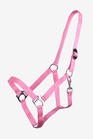 Licol Slide Flamingo Pink