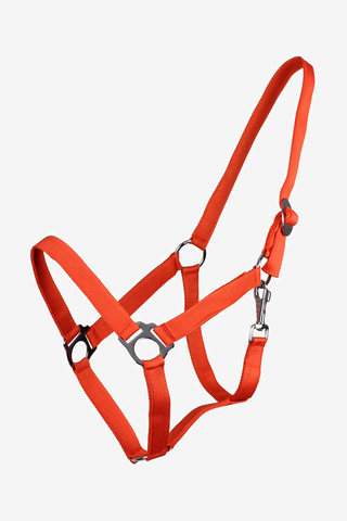 Licol Slide Orange