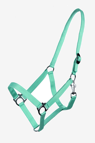 Licol Slide Turquoise