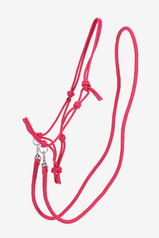 Licol en corde avec rênes en corde Fuchsia