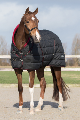 QHP Stalldecke Luxury 200g Schwarz
