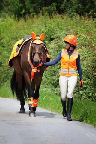 Equi-Flector Leg Reflectors Orange