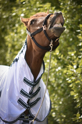 Fly Sheet with Neck White/Green