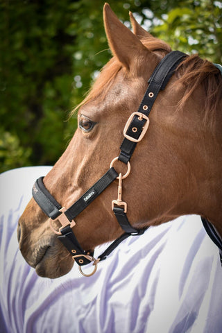 Fly Sheet with Neck White/Green