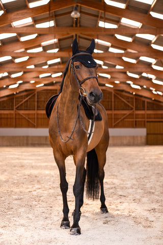 Set Saddle Pad + Hood